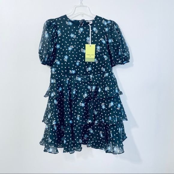 Sandy Liang For Target Dress Small Floral Short Puff Sleeve Tiered Polka Dot New - Picture 6 of 17